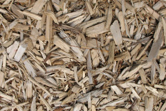 biomass boilers Carrowdore