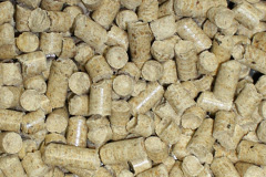 Carrowdore biomass boiler costs